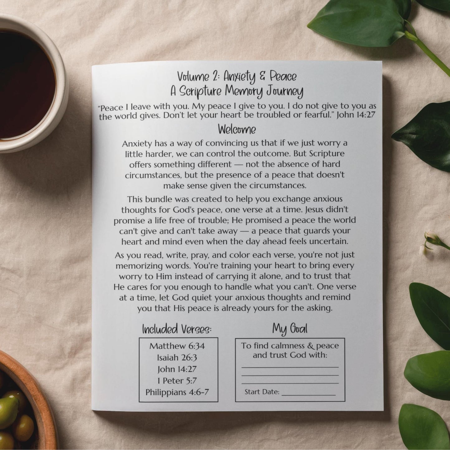 Christian Anxiety Journal – Scripture Memory & Verse Coloring
